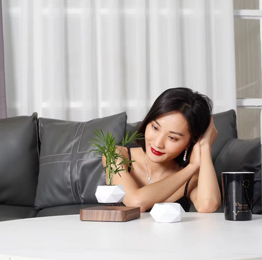 Dark Wooden/White Floating Planter